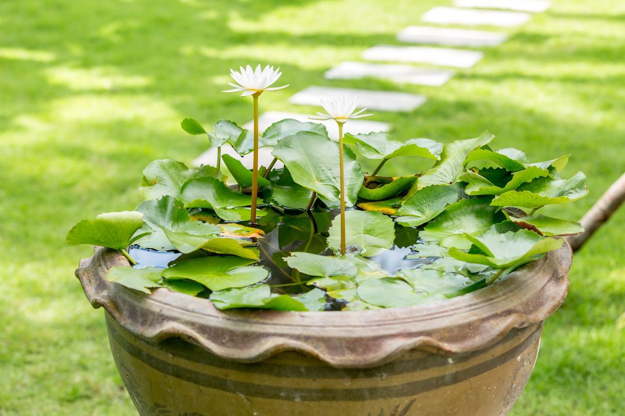 Baan Suaan Serenity Laem Sor Extérieur photo